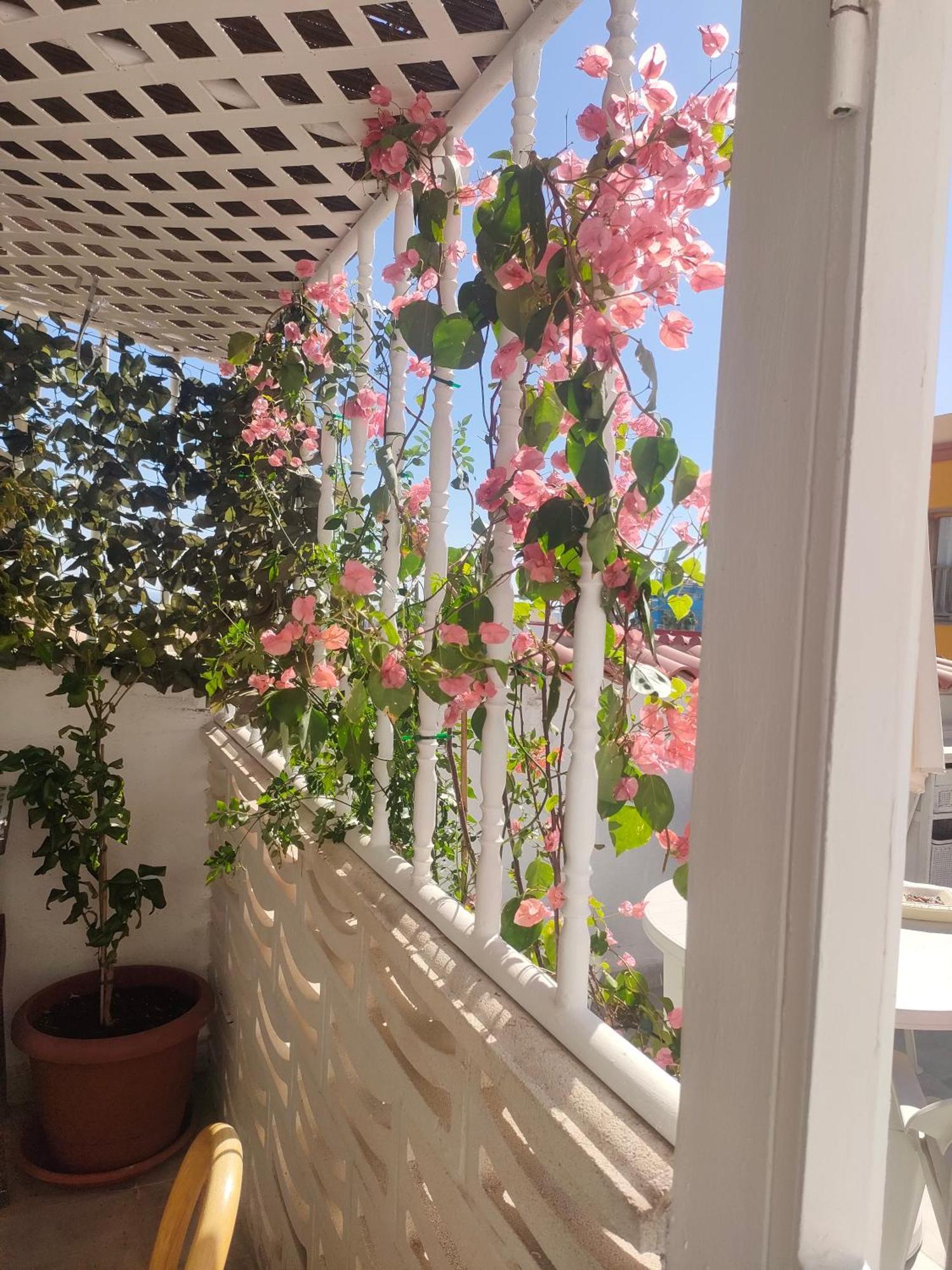 Casa Alba 2 Apart otel Puerto del Rosario  Dış mekan fotoğraf